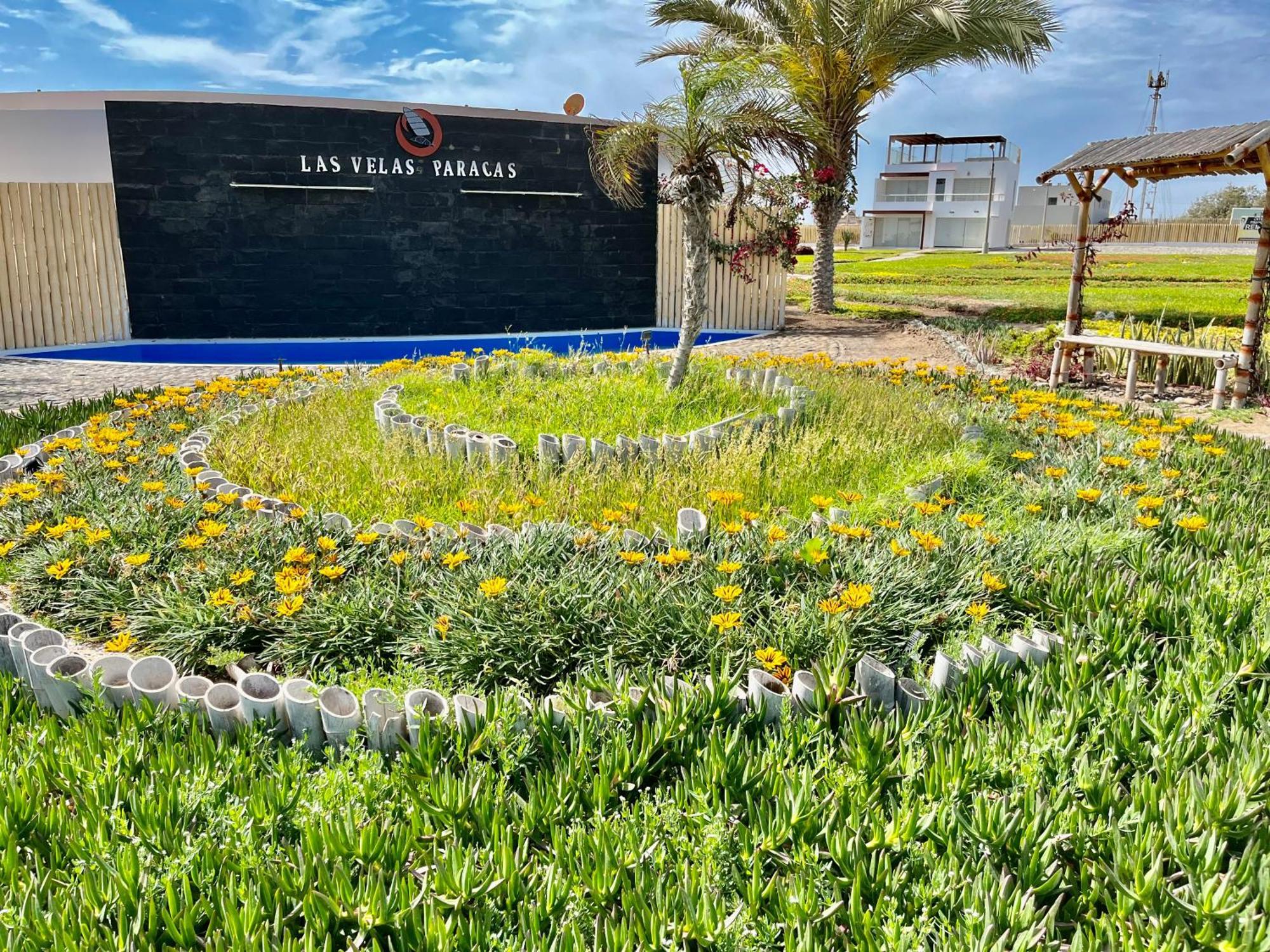 Suite 1 Fila Vista Bahia Paracas- La Velas 601 T1 Eksteriør billede